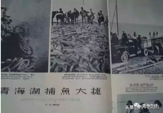 原来青海的历史还有这么多你不知道的秘密！