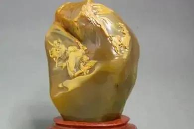 农民拿压菜石鉴宝视频,老年人带压菜石鉴宝原视频