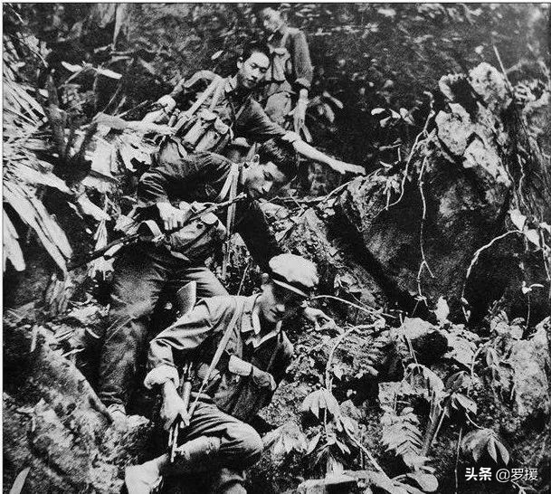 失踪整整58年的志愿军战士,罗援烈士纪录片