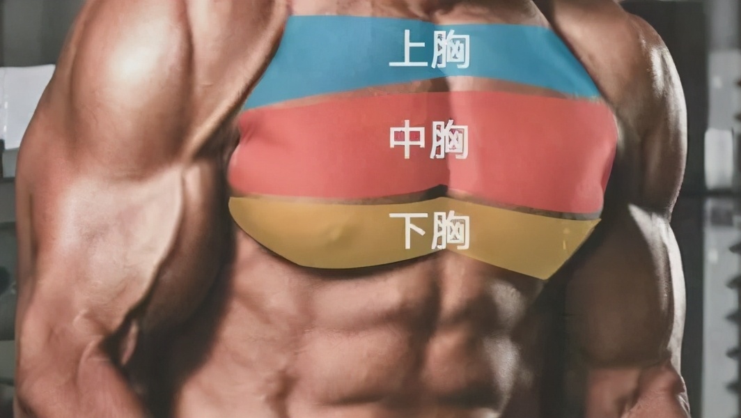 胸型很丑可以调整吗,胸型难看是因为什么