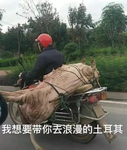 导演拒绝删减任何镜头!片长3小时,生生扯下了理想主义的遮羞布