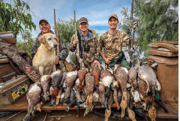 媒体报道英国野鸡泛滥成灾的视频,国外野鸡泛滥成灾