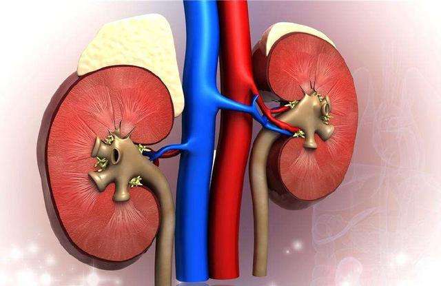 干细胞未来能治愈尿毒症吗,干细胞可以治疗尿毒症吗