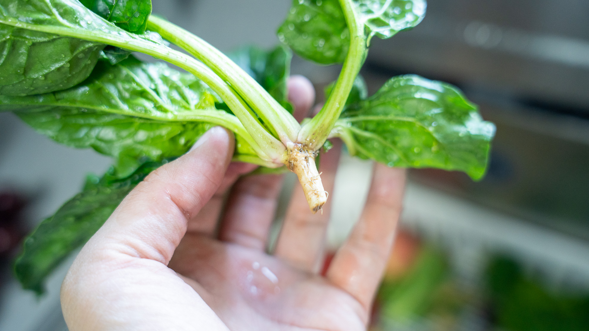 方太水槽洗碗机e5可以洗多少套,方太e5洗碗机空间