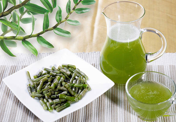 养胃石斛推荐,养胃石斛人参茶怎么喝