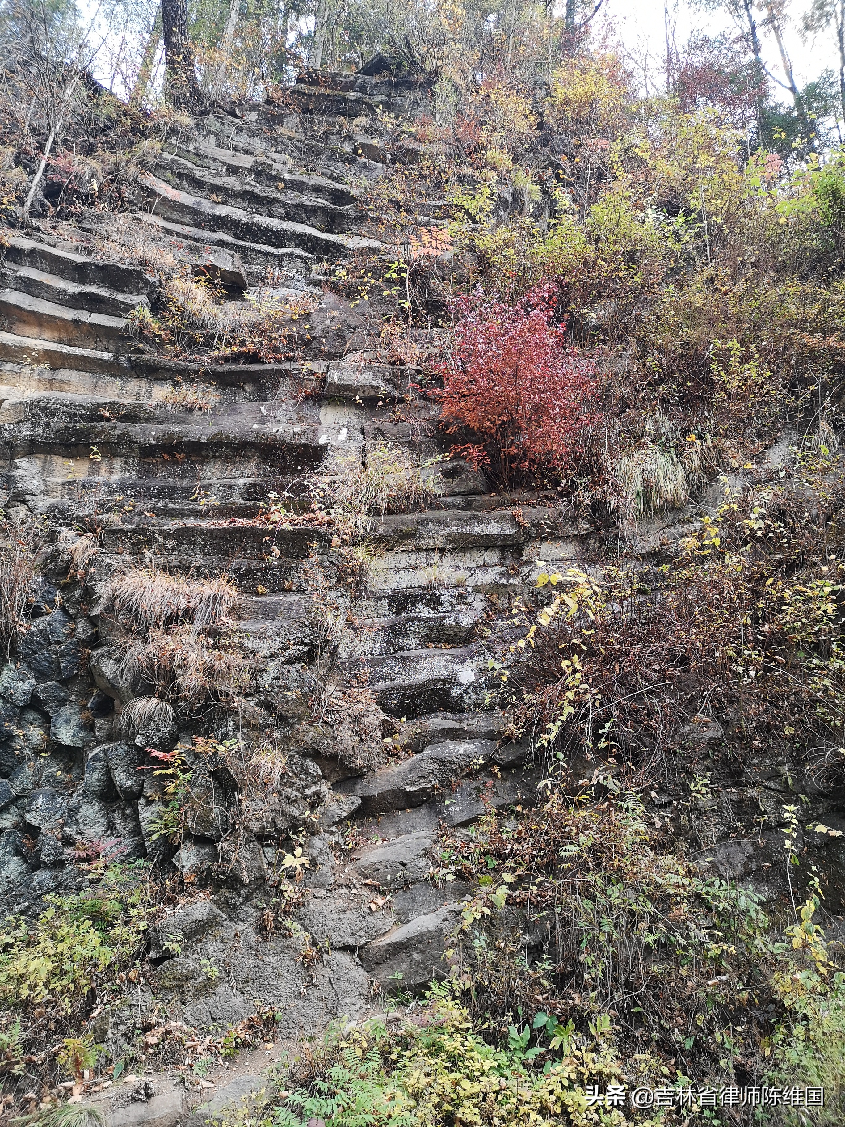 奇石碧水望天鹅－国庆游记之三