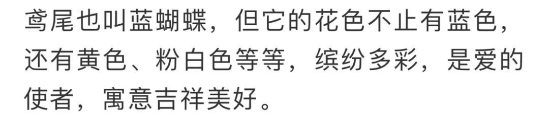 看到花的时候,不知是什么花?那就收下这份百花图谱