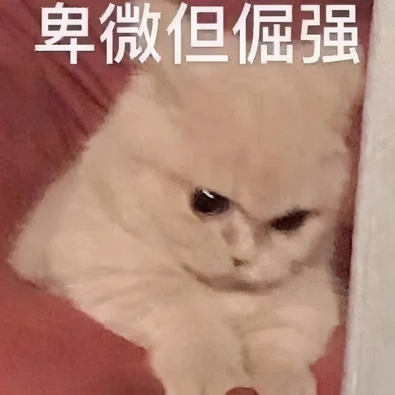 稳居c位的文案,稳居c位的沙雕文案