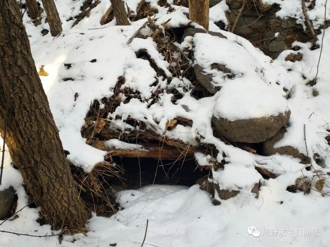 野外生存中木炭的作用和功效,木炭的用途及其对应的性质