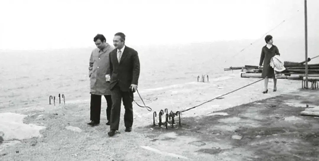 玫瑰岛的不可思议的历史哪看,玫瑰岛不可思议的历史免费观看