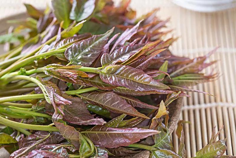 澶ц壓灏忓悆,灏忓悆澶ц壓