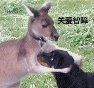 男人懂女人的心思吗,男人懂女人不懂的东西