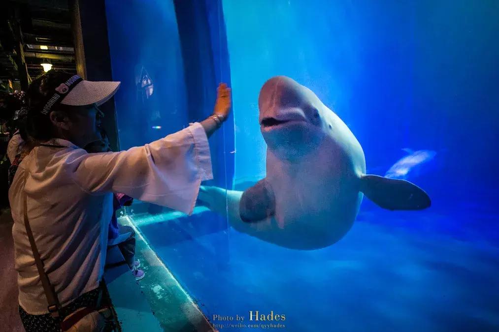 这个夏日25°C的宝藏城市美炸了！海岛、万国建筑、叮叮车..想去