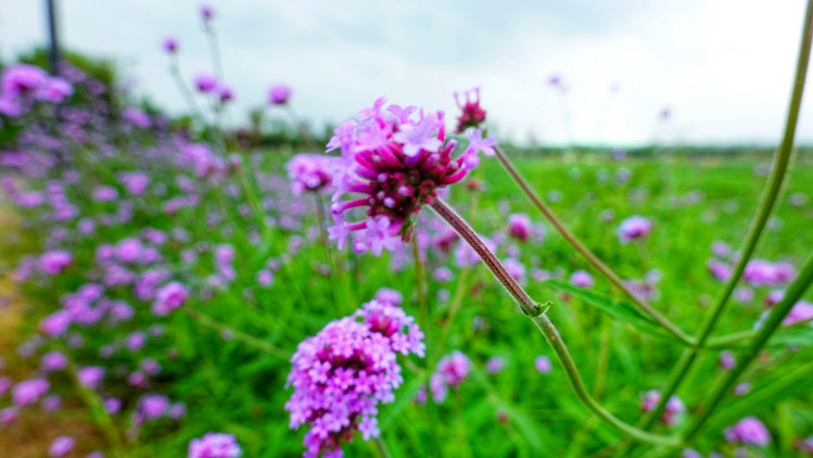 南浔不仅仅只有古镇,跟着我去玩不一样的南浔