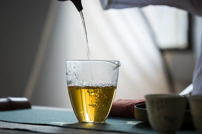 柘荣白茶,柘荣老白茶价格