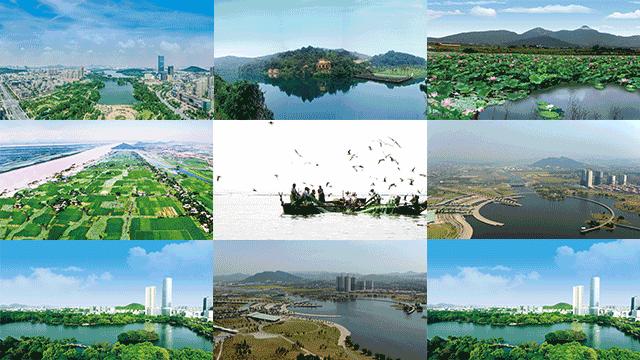 号外号外内容,号外号外在线观看