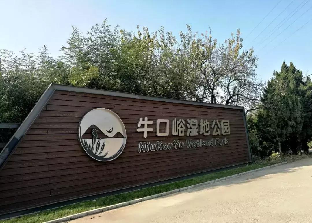 北京小众湿地公园免费,北京周边湿地公园