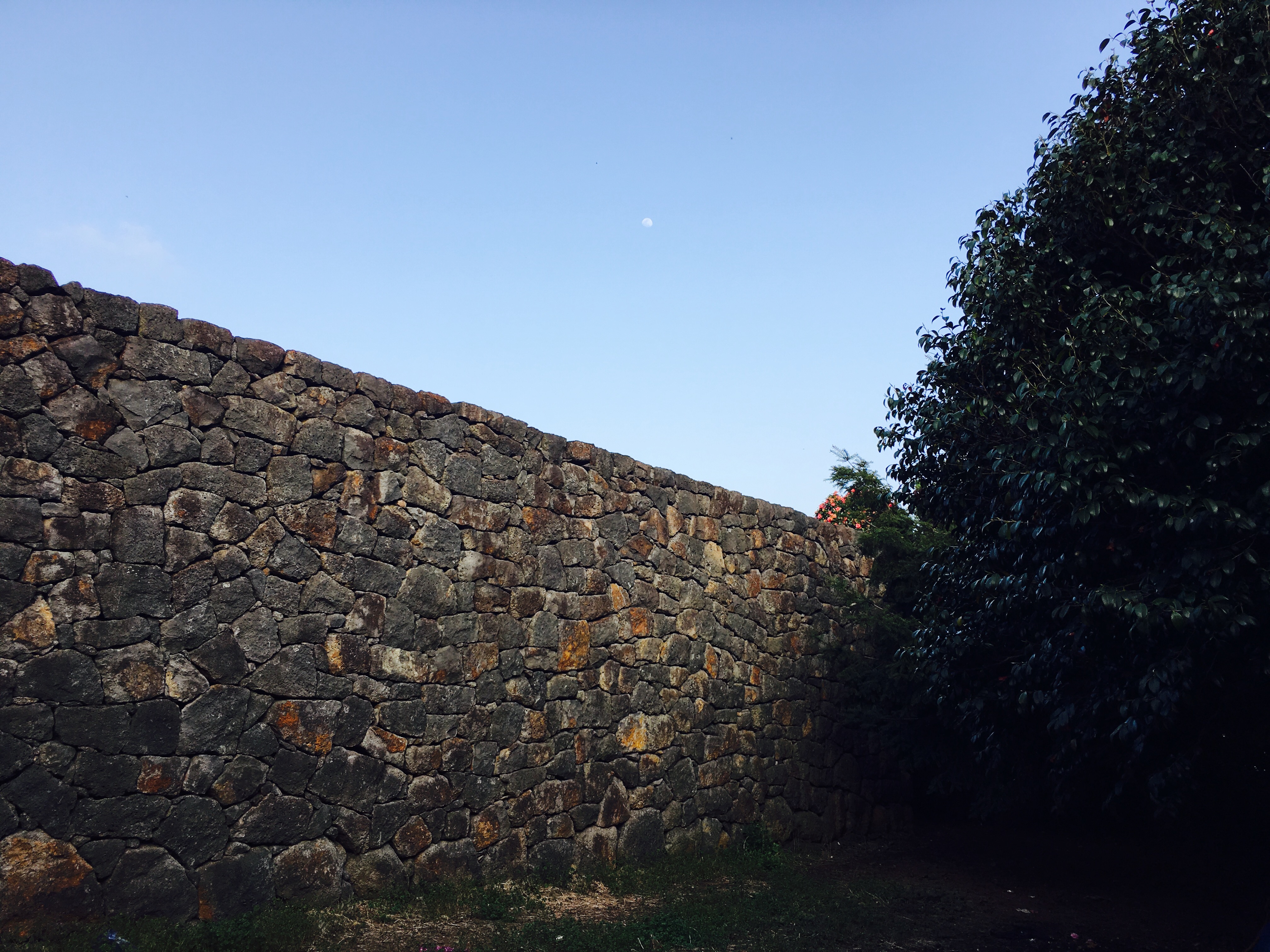 出国游玩新手小白,出国去韩国济州岛打工