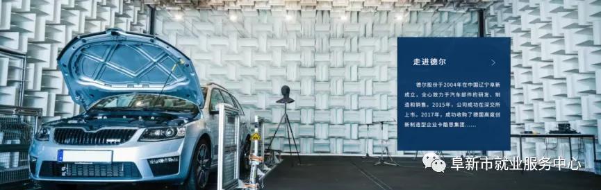 阜新德尔汽车招聘,阜新德尔招女工做什么