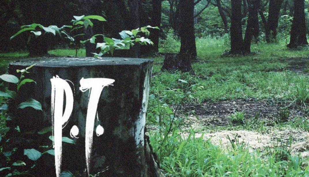 生日快乐，寂静岭。还有，晚安。