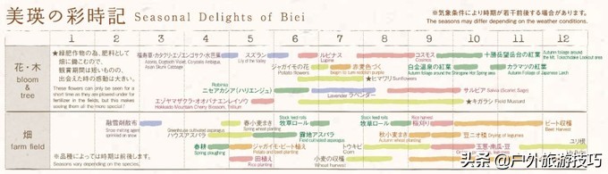 富良野一日游经典路线,日本北海道富良花海
