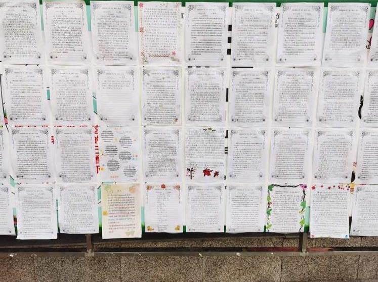 太有创意了!古城实小开展“秋•树叶”为主题的实践活动