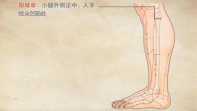 最好办法治疗坐骨神经痛,医生谈坐骨神经痛最快的康复方法