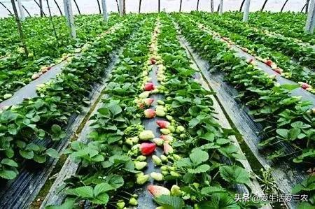 推荐小成本创业点子,推荐零成本创业点子