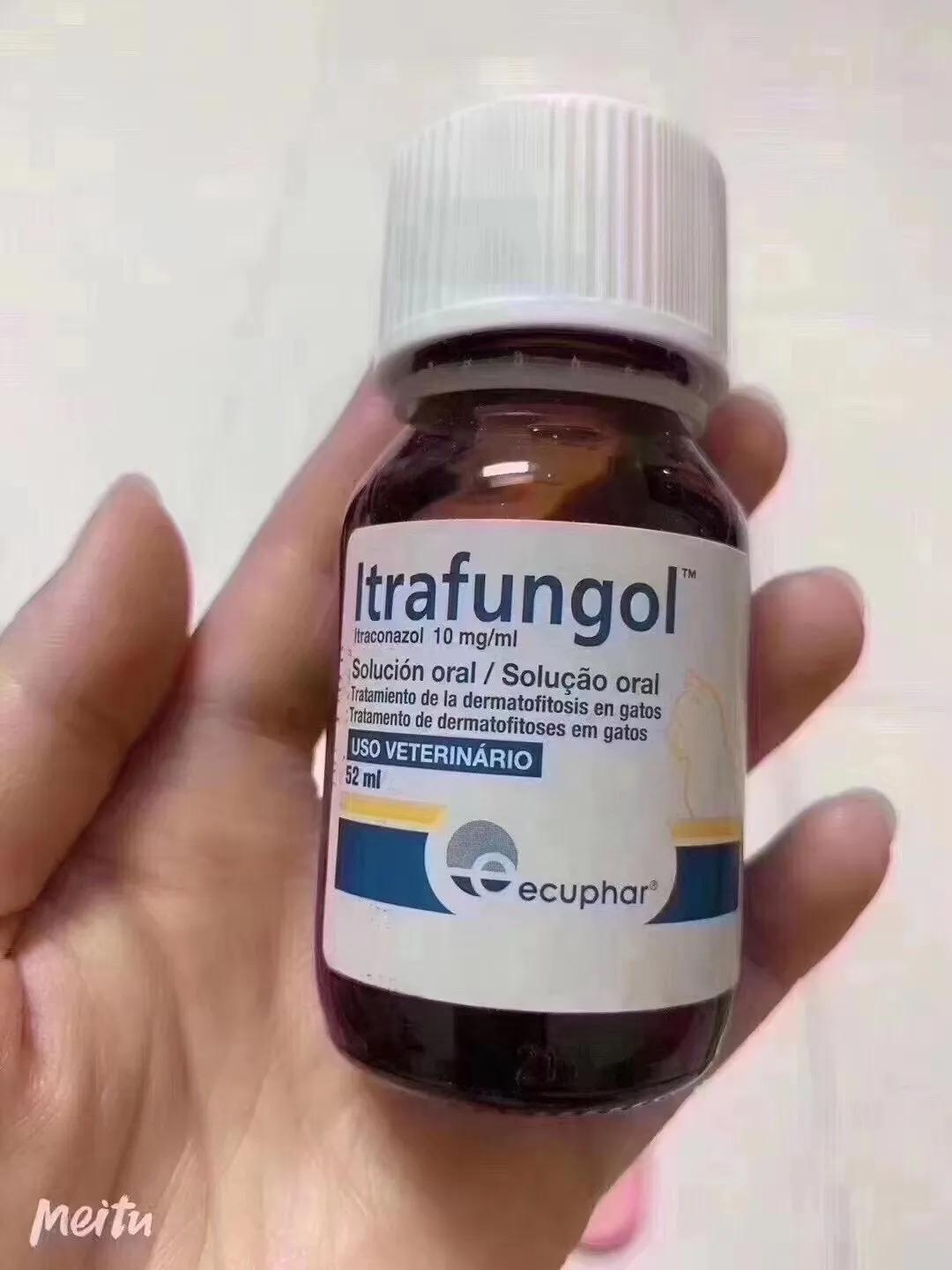 十年老猫舍深谈，如何发现，应对，治疗《猫藓》