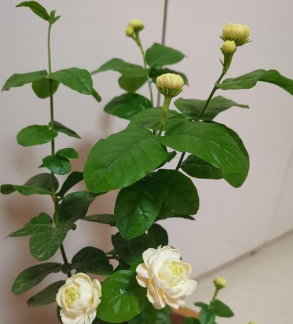 <html>
<head><title>502BadGateway</title></head>
<body>
<center><h1>502BadGateway</h1></center>
<hr><center>nginx</center>
</body>
</html>
<!--apaddingtodisableMSIEandChromefriendlyerrorpage-->
<!--apaddingtodisableMSIEandChromefriendlyerrorpage-->
<!--apaddingtodisableMSIEandChromefriendlyerrorpage-->
<!--apaddingtodisableMSIEandChromefriendlyerrorpage-->
<!--apaddingtodisableMSIEandChromefriendlyerrorpage-->
<!--apaddingtodisableMSIEandChromefriendlyerrorpage-->
