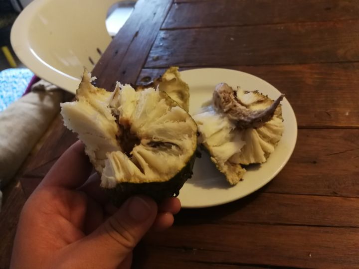 世界上有哪些常见的热带水果,欧洲奇特的水果