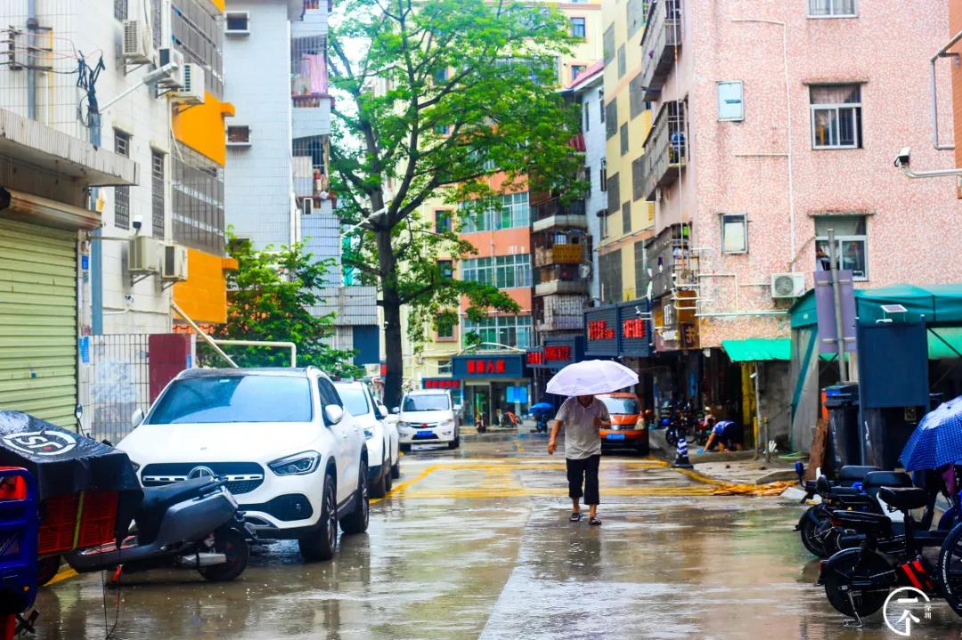 为啥珠光村房租便宜,深圳西丽珠光村房租如何