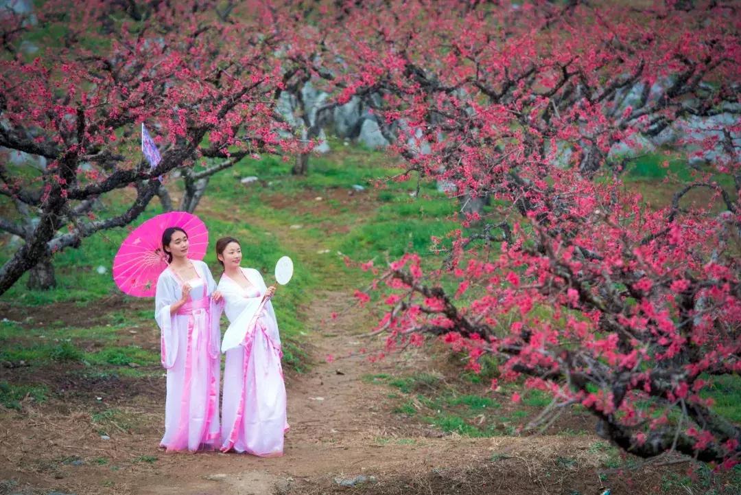 广东居然藏着一个神秘天坑,广东这座小镇藏着多少宝藏