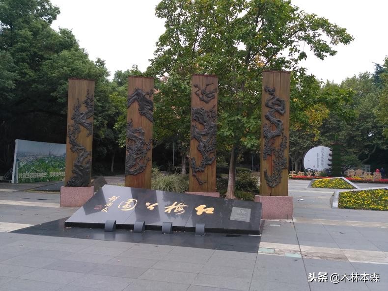 常州天宁禅寺佛塔,去天宁寺坐几路车