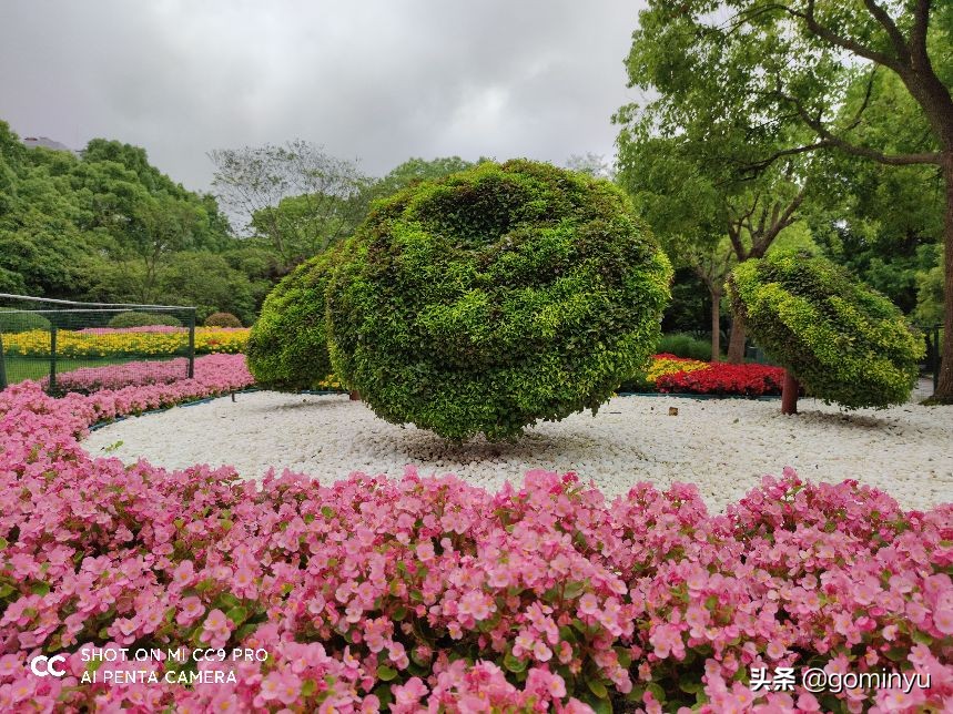 我眼中的黄浦,我眼中的上海生活