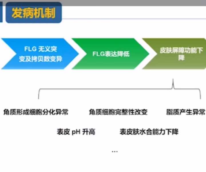额头皮肤暗沉怎么上粉底液,皮肤黑黄暗沉怎么选粉底液