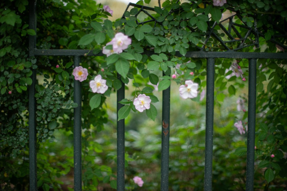 灏煎悍df3000,灏煎悍DF娴嬭瘎