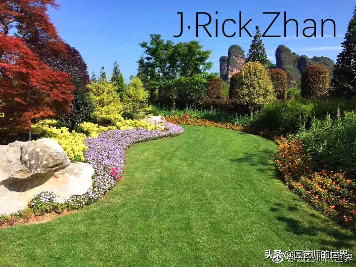 适合北方庭院种植的低矮草坪,家庭庭院怎样混搭种植草坪和蔬菜