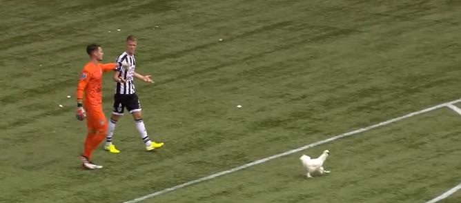 萌死人不偿命原版,萌死人不偿命解说