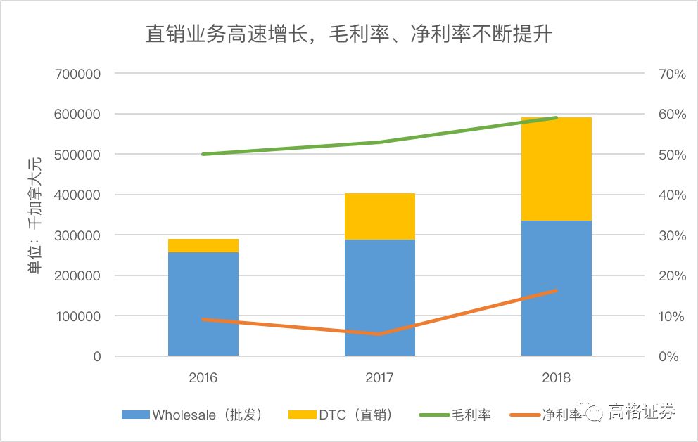黑天鹅对战狮头鹅,黑天鹅vs雏鹅