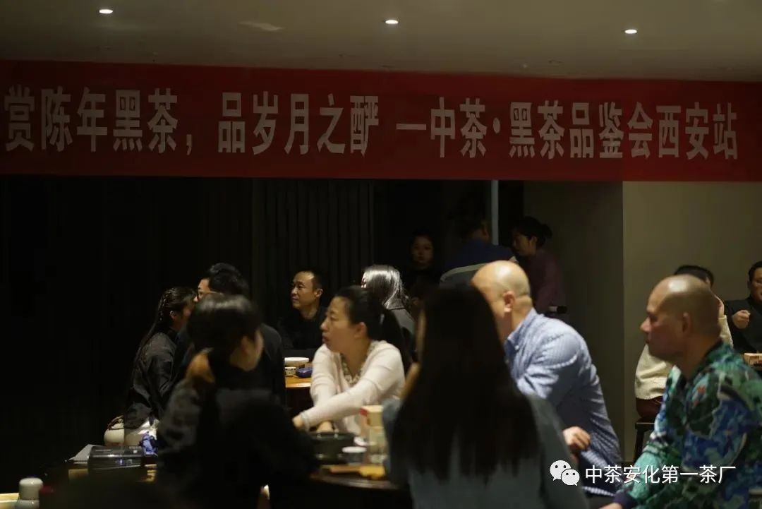 黑茶品鉴会,中茶陈年黑茶