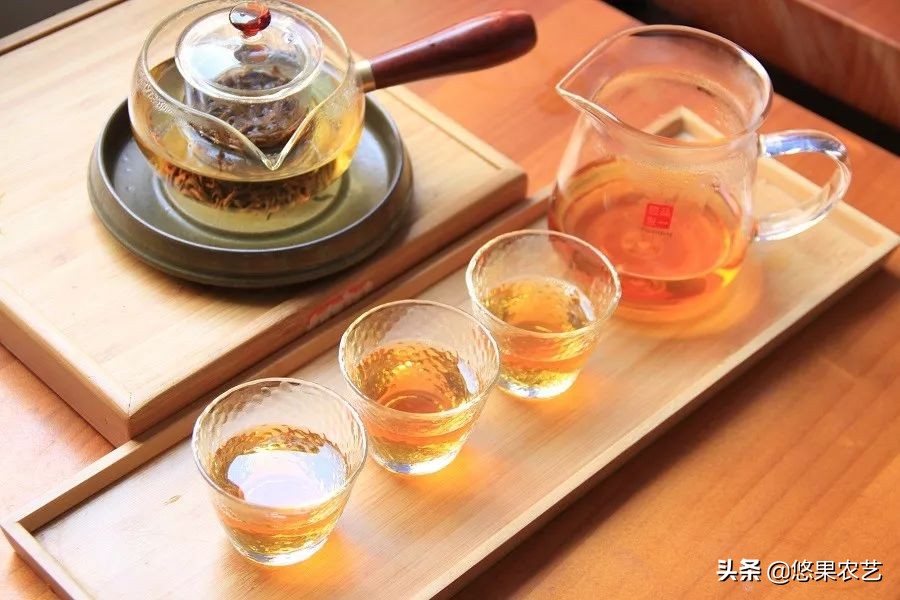 期待兰花香,再谈鸠坑群体种老茶园