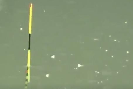 鲤鱼脱钩了还会进窝吗,鲤鱼脱钩的解决方法