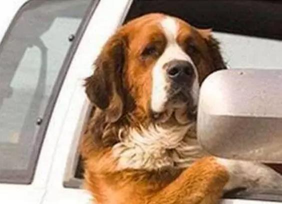 金融人眼中的自己,一个懂金融和不懂金融的人的区别