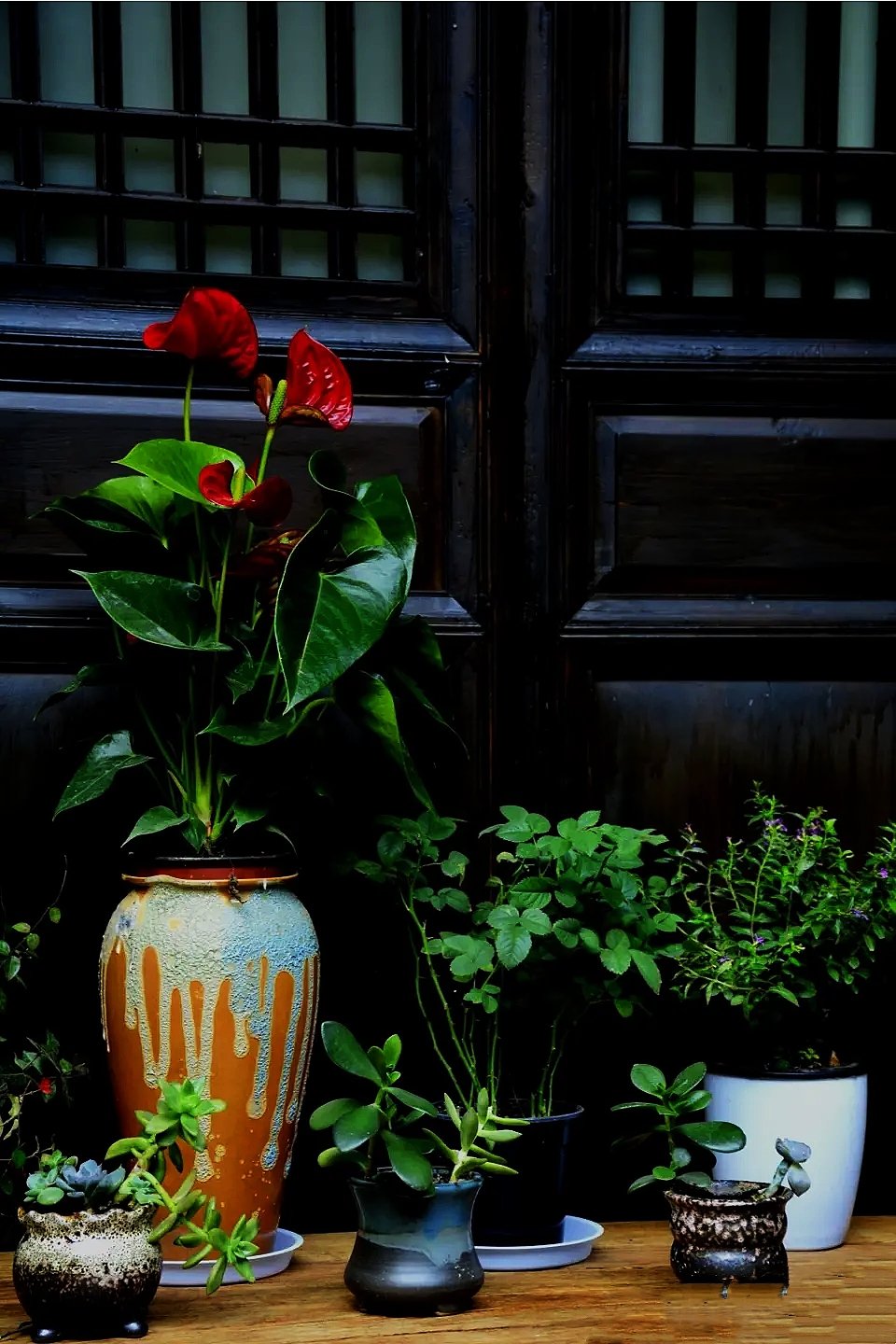 英语四级常考词汇,英语合格考常考基础词汇