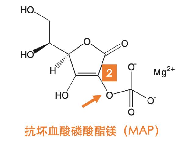 大牌护肤品哪种主打美白,大牌护肤品最好的牌子