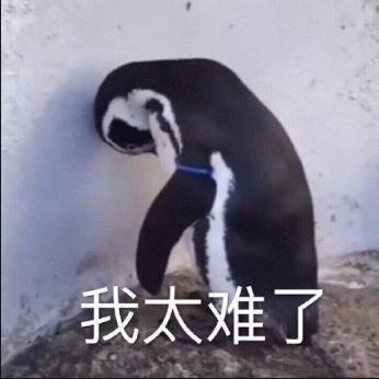 老代购的文案,老代购