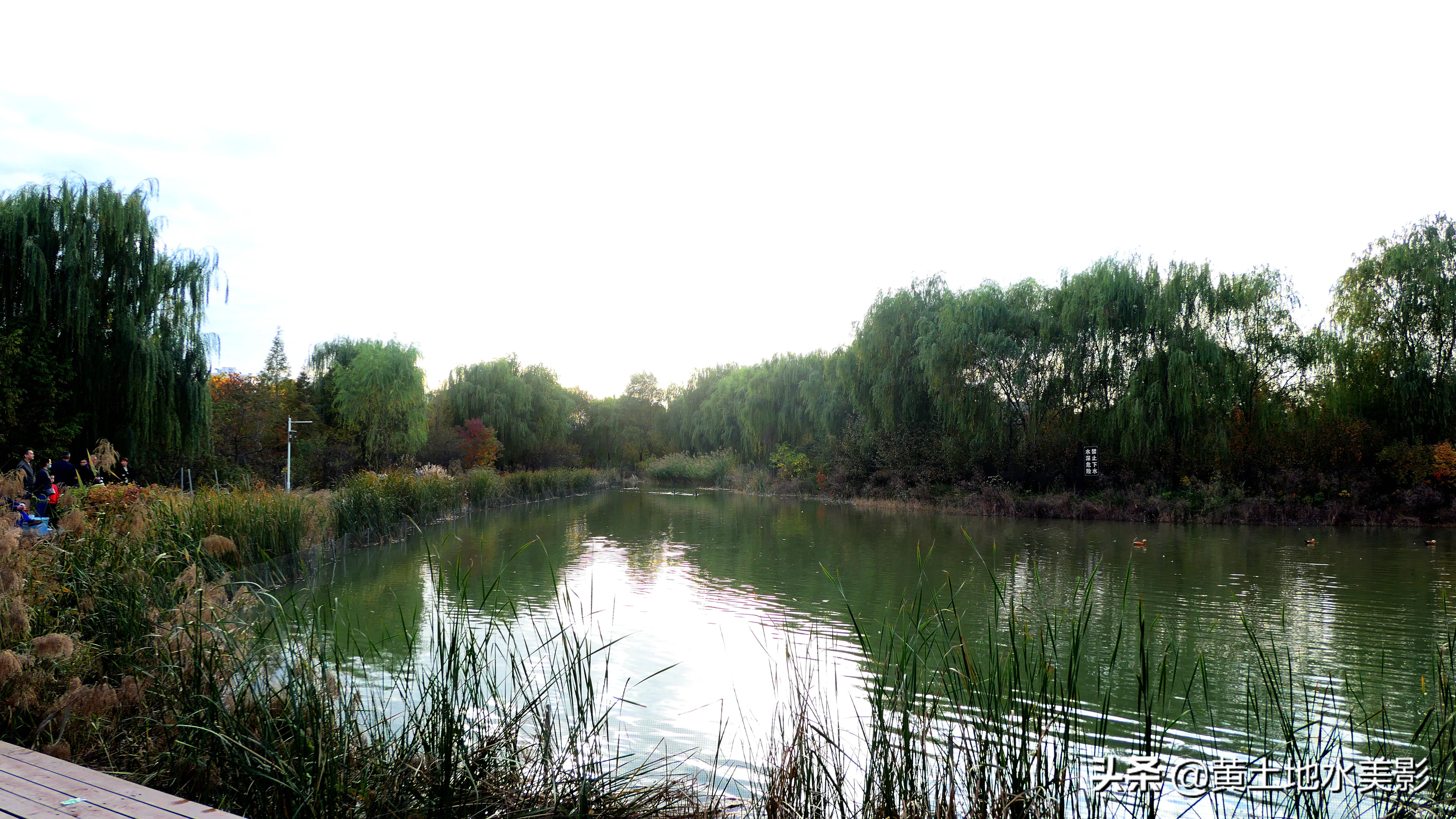 免费游玩东湖公园攻略,免费湿地公园游乐景点