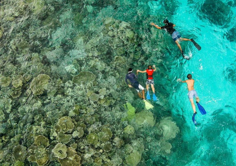 马尔代夫卓美亚德瓦娜芙希岛,马尔代夫哈拉薇莉岛旅游攻略