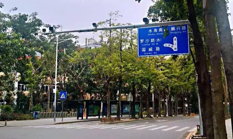 美翻了！过年到香港看烟花，23888枚闪亮夜空！还有……